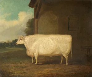 Mädchen von Athen, 1862